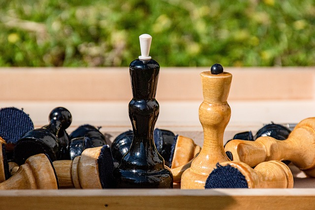 荷兰与土耳 荷兰与土耳